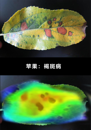 病.jpg